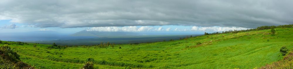 W_Maui_Panorama1.jpg